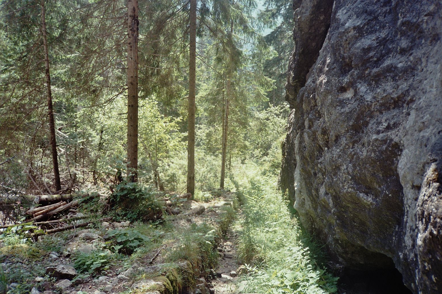 Luglio 24 - Image 15