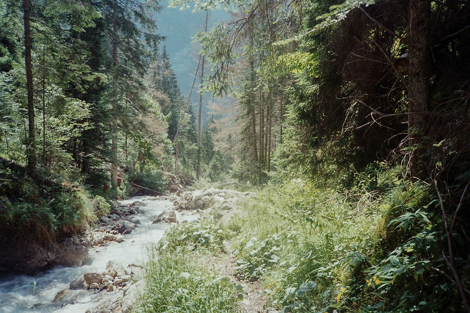 Luglio 24 - Image 16