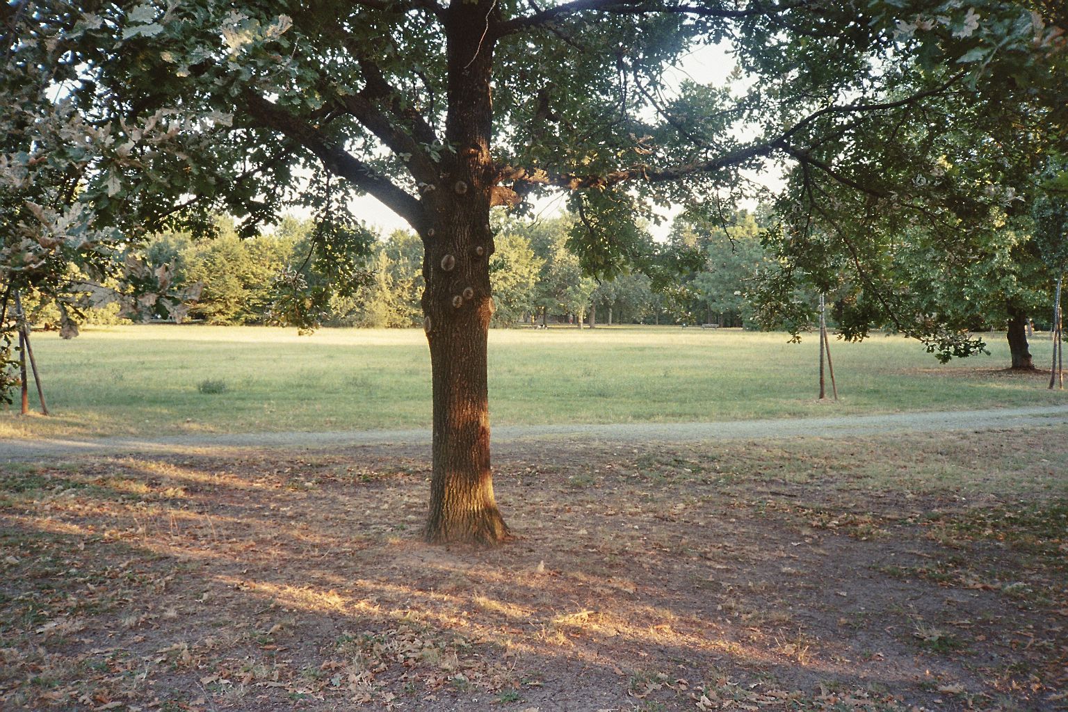 Luglio 24 - Image 17