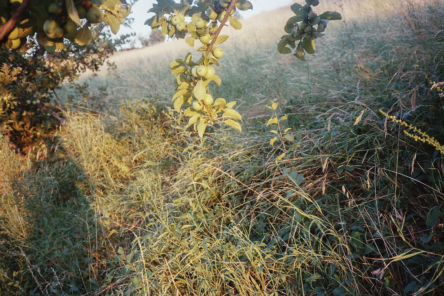 Luglio 24 - Image 18