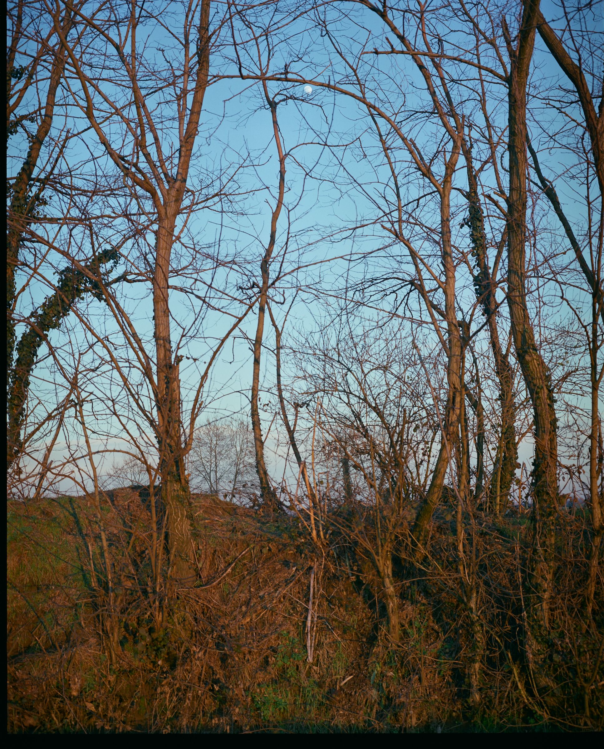 Mulino Zucchelli - Image 12