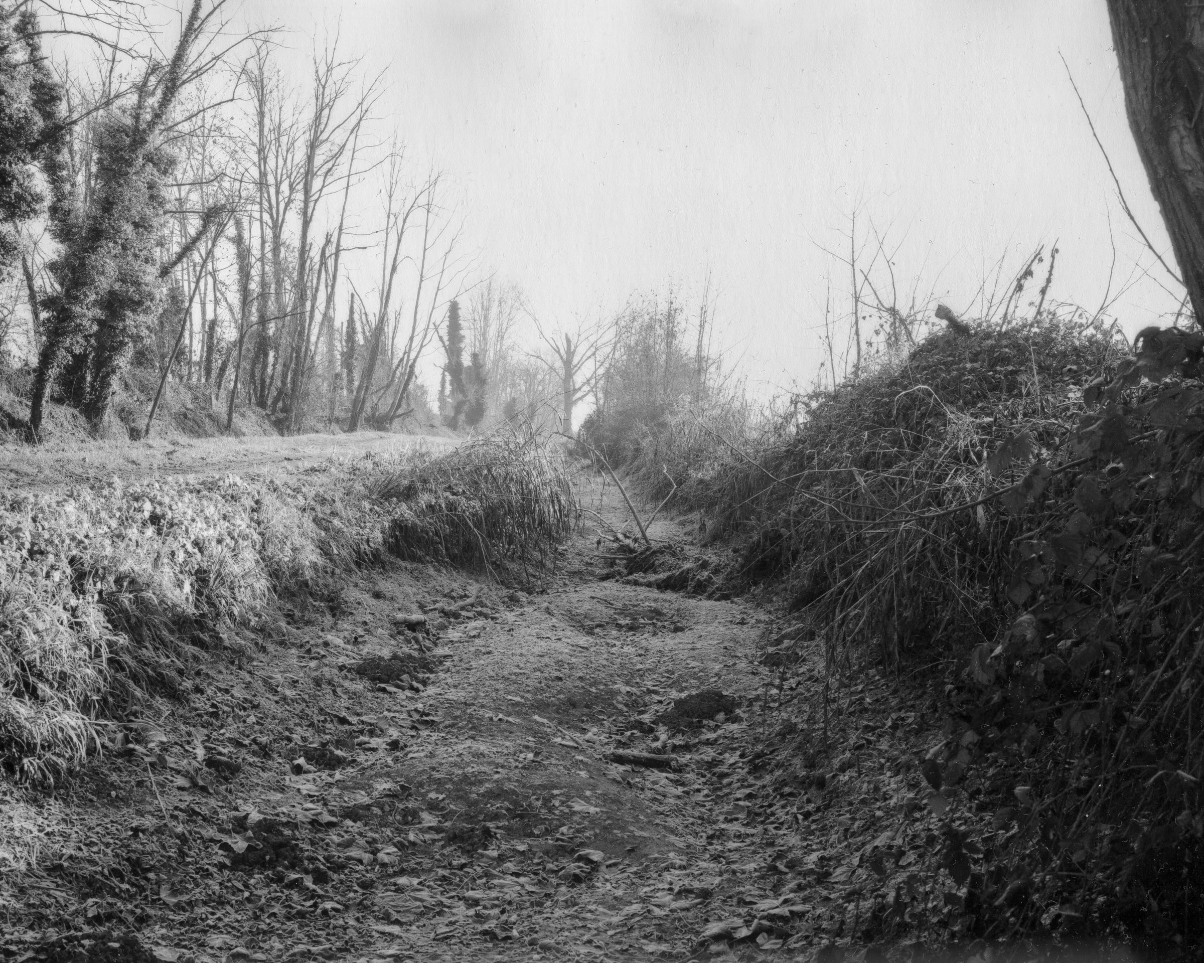 Mulino Zucchelli - Image 14