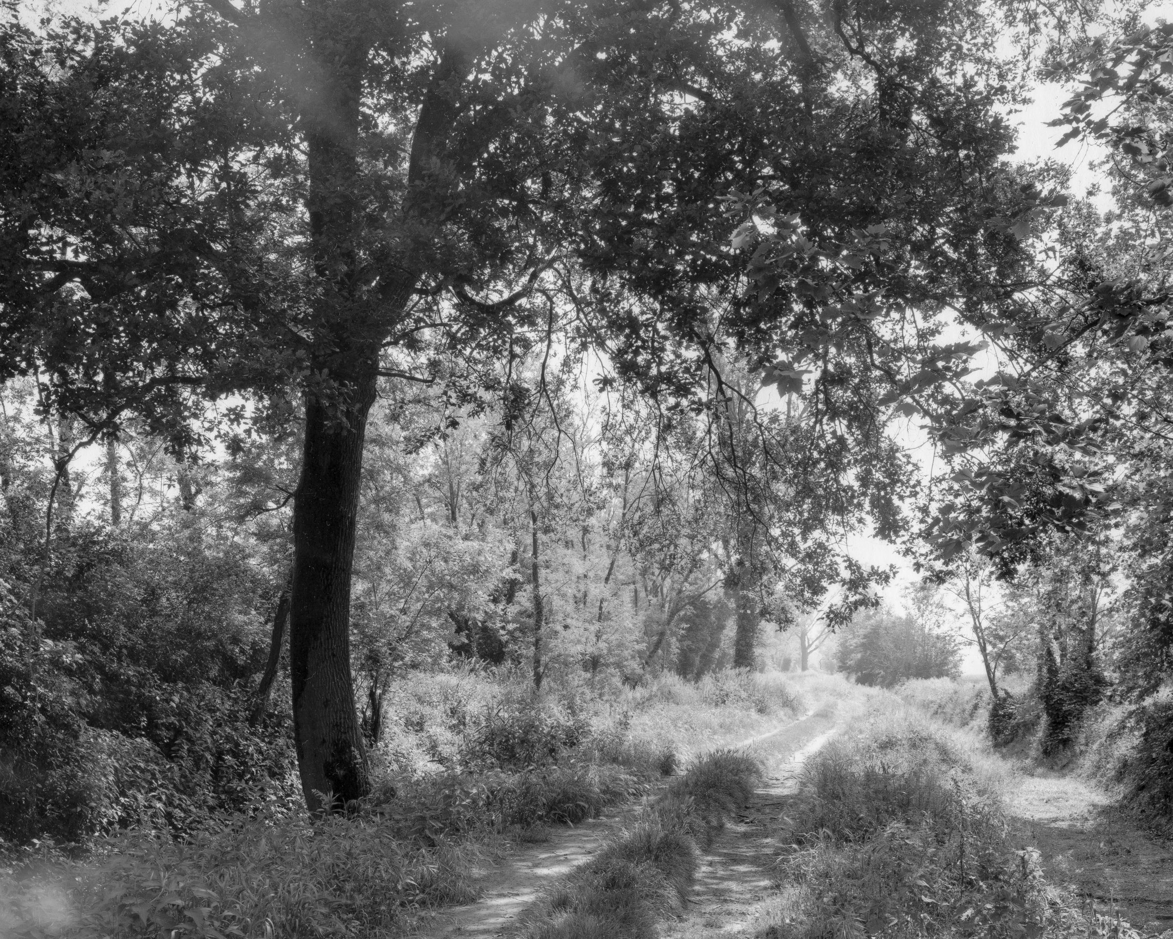 Mulino Zucchelli - Image 15