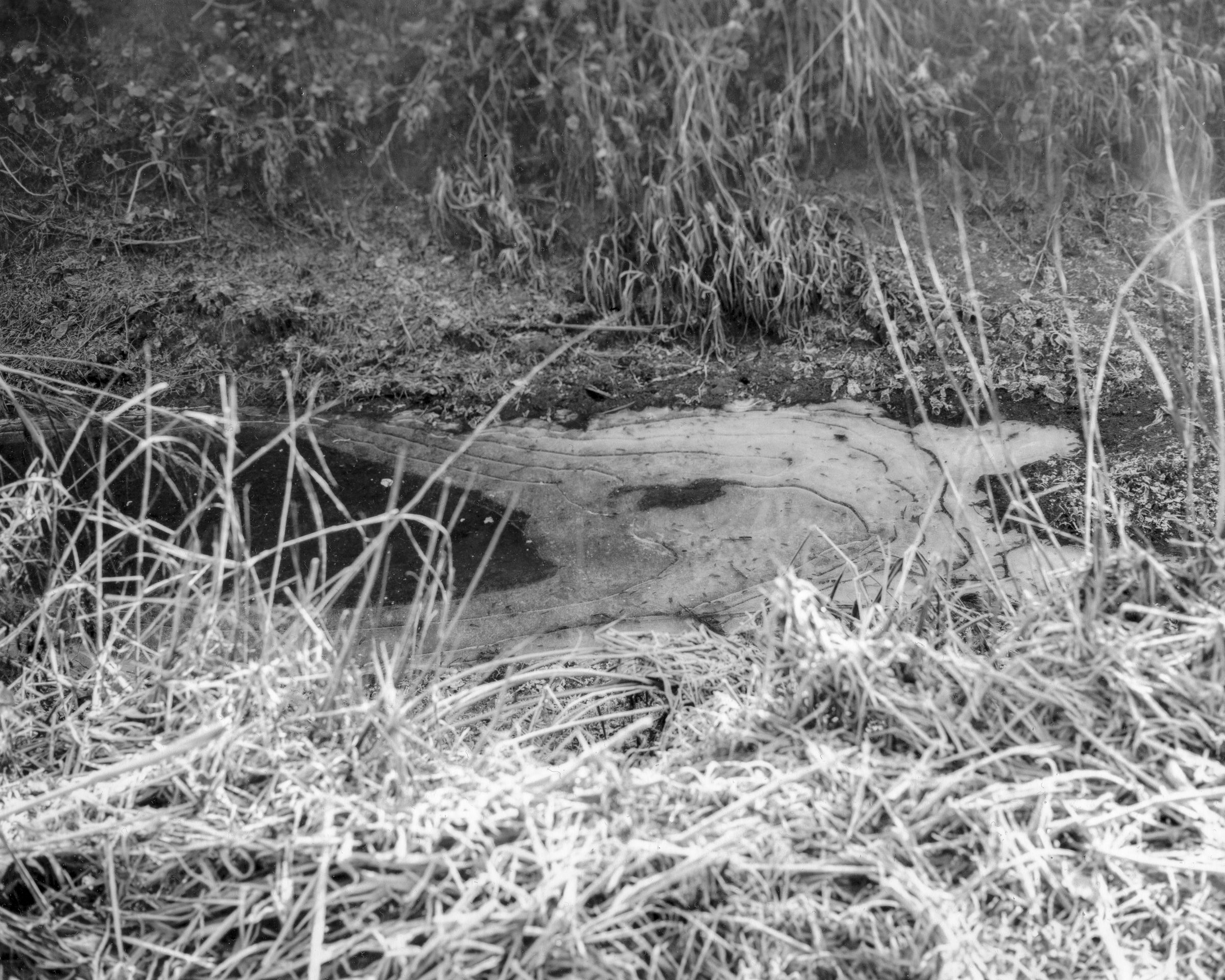 Mulino Zucchelli - Image 16