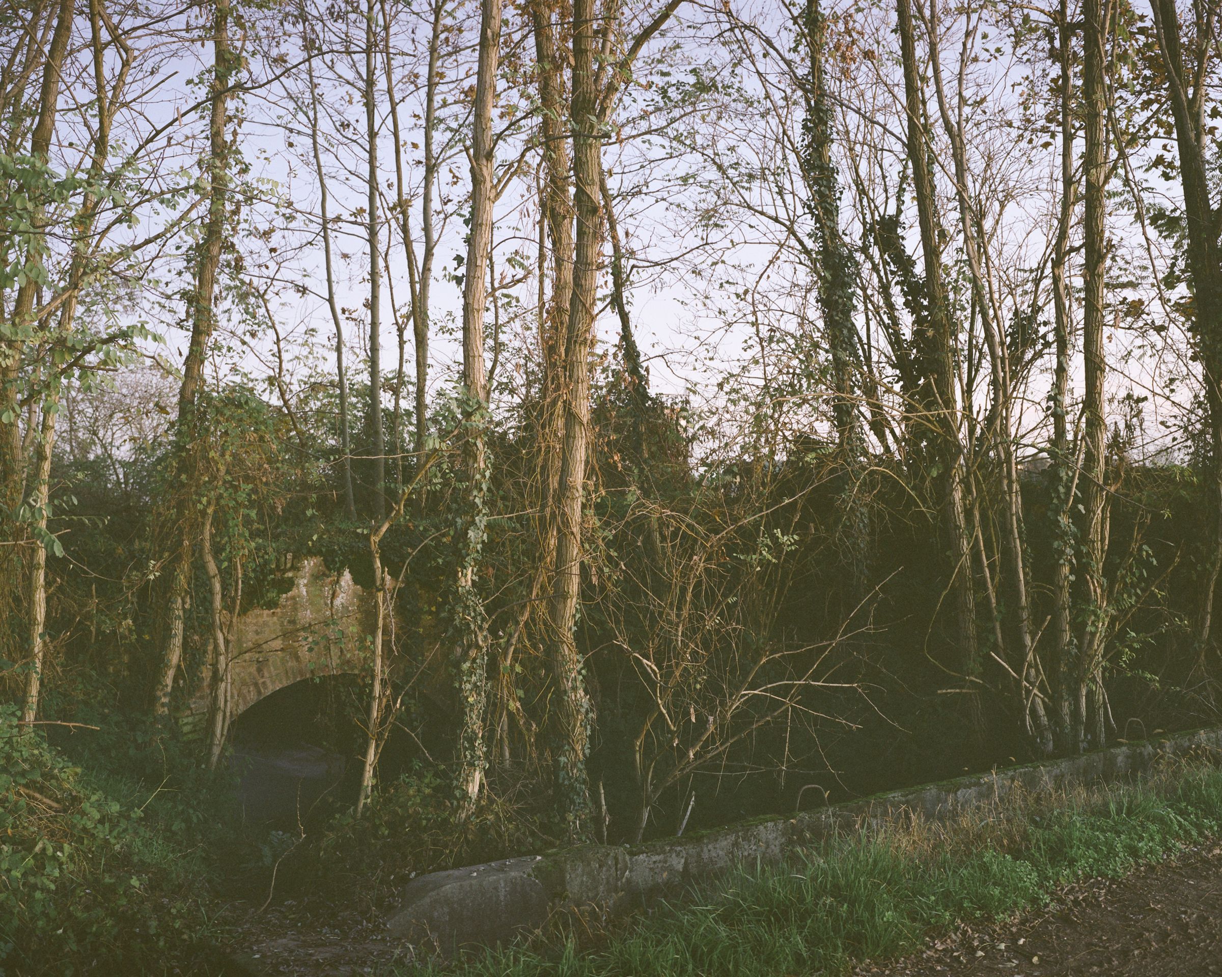 Mulino Zucchelli - Image 18