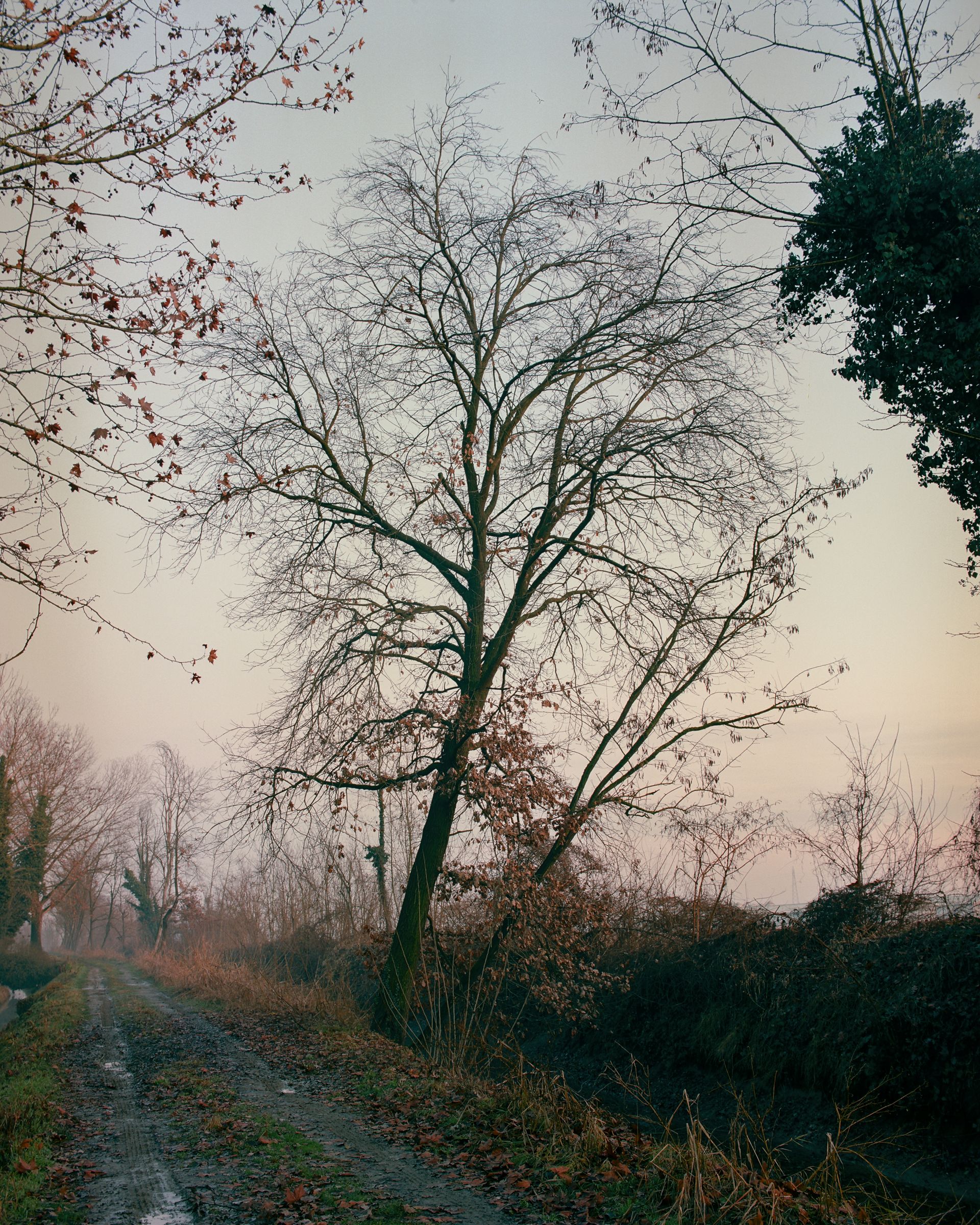 Mulino Zucchelli - Image 5