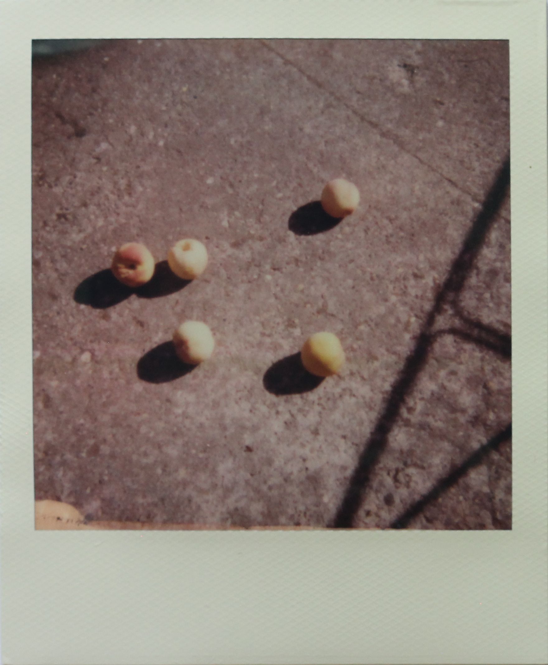 Polaroid - Image 17