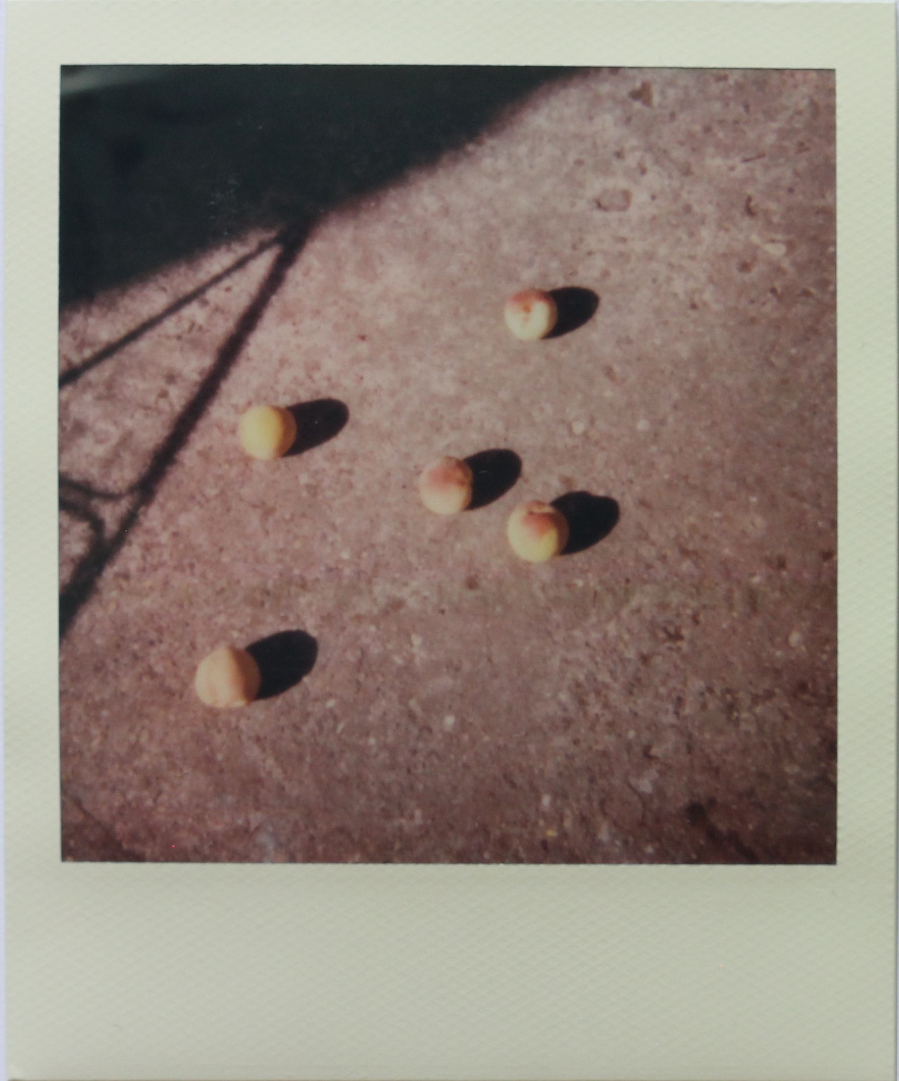 Polaroid - Image 18