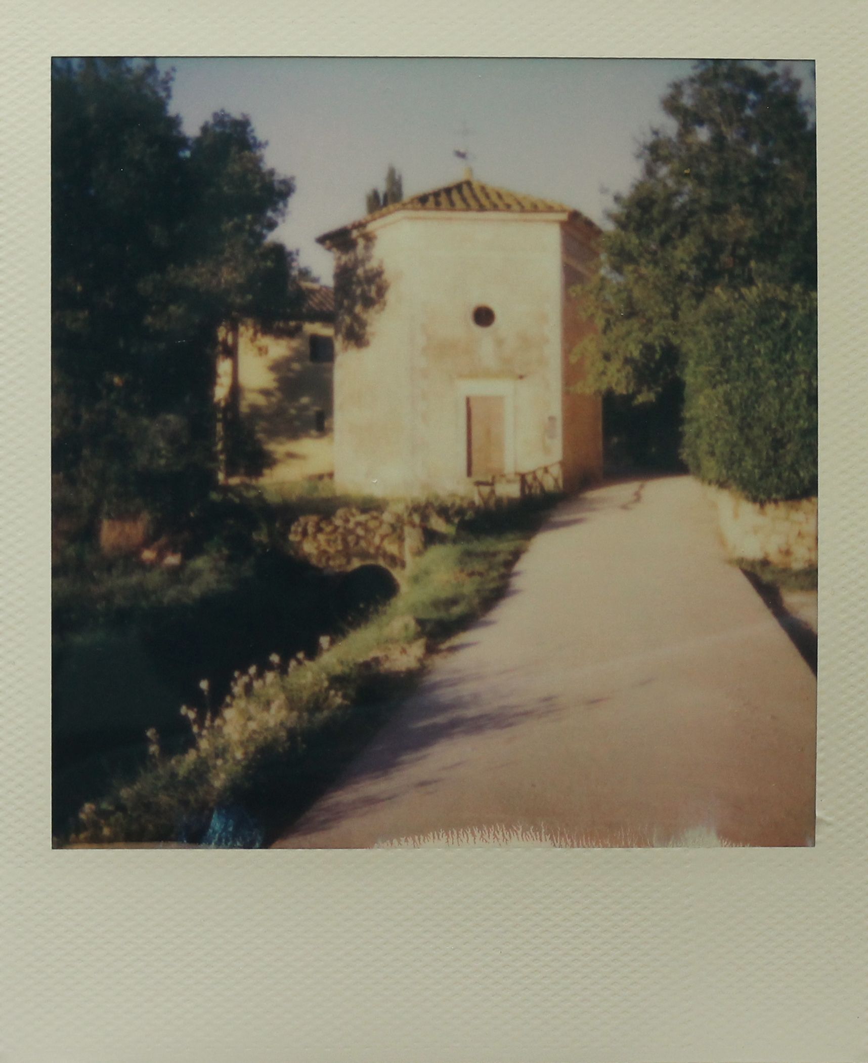 Polaroid - Image 2