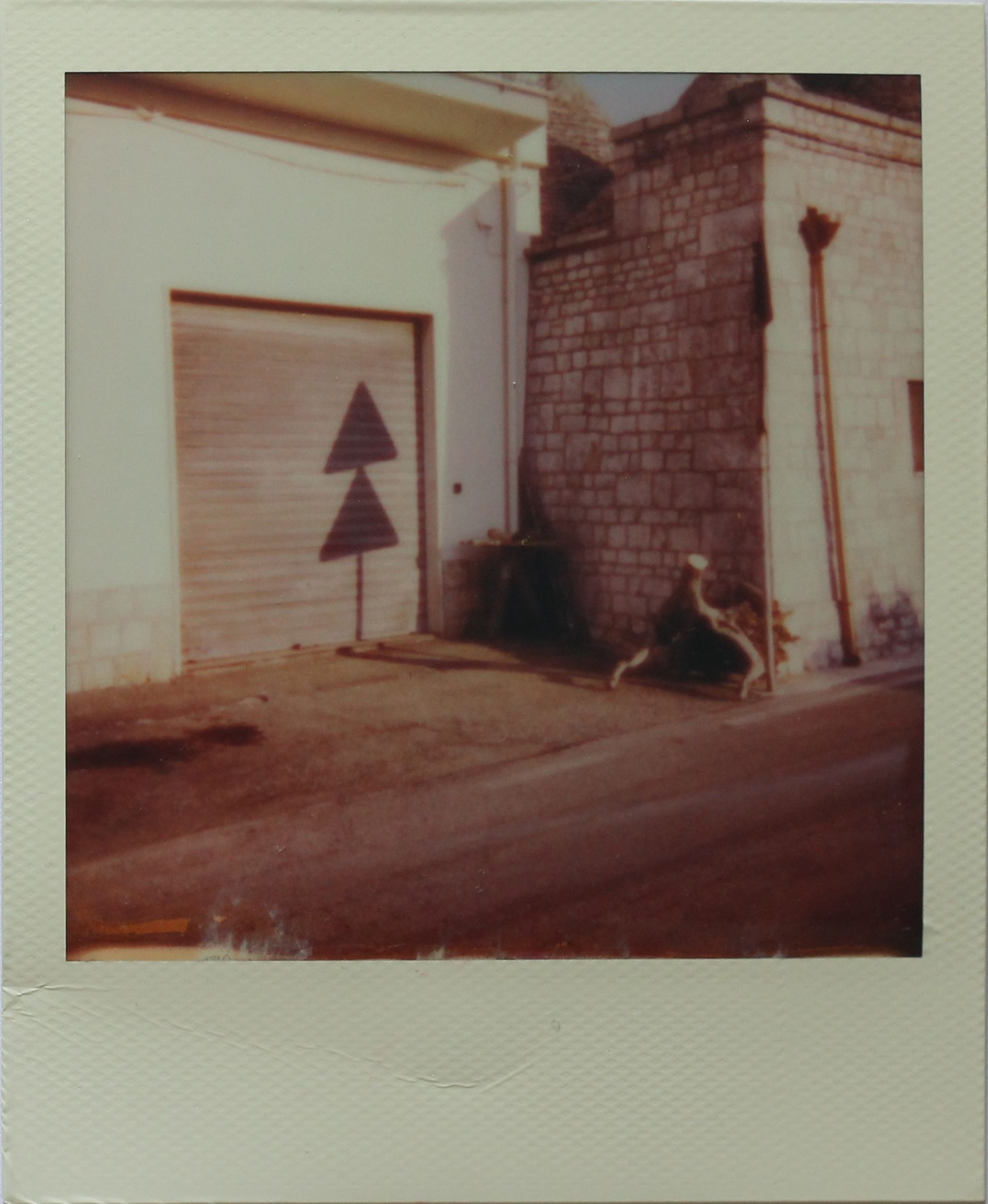 Polaroid - Image 7