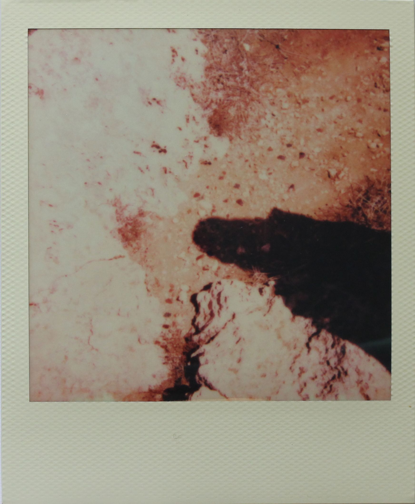 Polaroid - Image 8