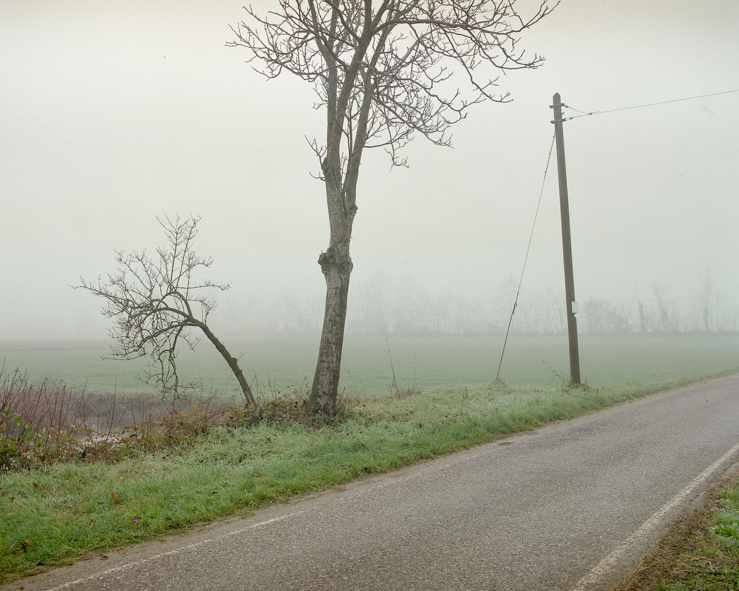 Santa Lucia - Image 3