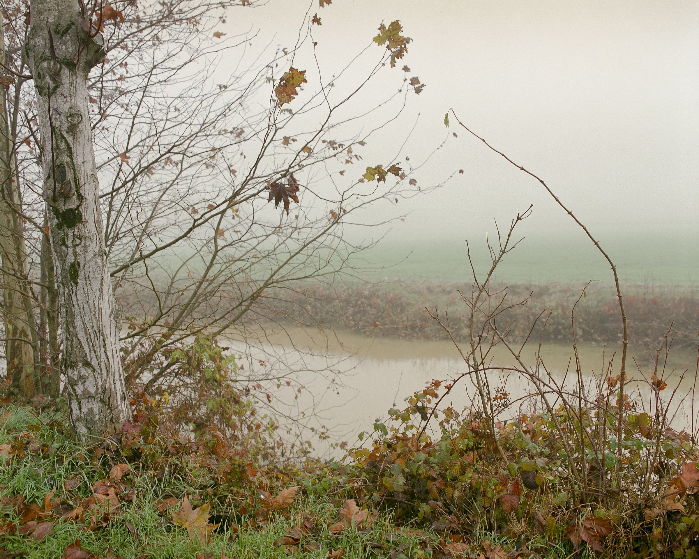 Santa Lucia - Image 4