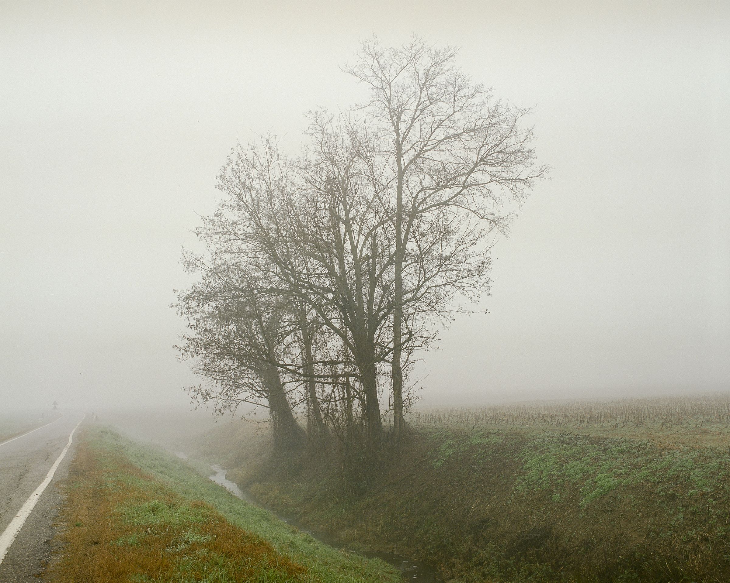 Santa Lucia - Image 7